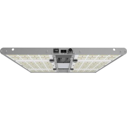 Ortoled quantum board evo - quantum,