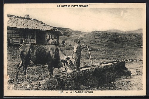 Vache abreuvoir carte - l'abreuvoir,,