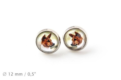 Basenji animaux domestiques - animaux,
