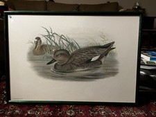 Tableau Nature Canards