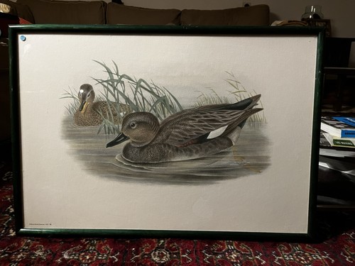 Tableau nature canards - tableau,