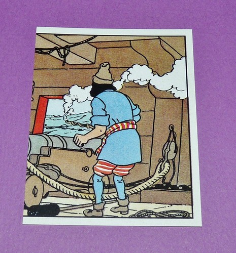 Panini tintin herge - panini,