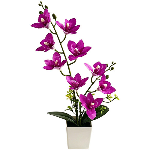 Orchidée cymbidium réaliste - orchidée,