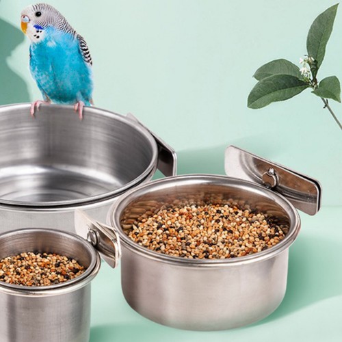 Bols alimentation pour - bols, d'alimentation