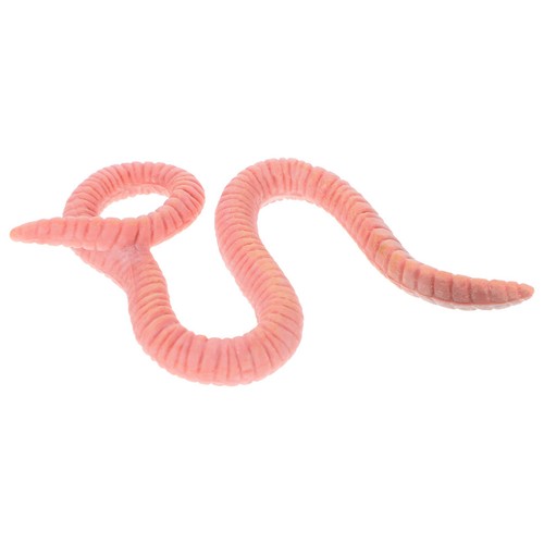 Modèle insecte plastique - modèle,