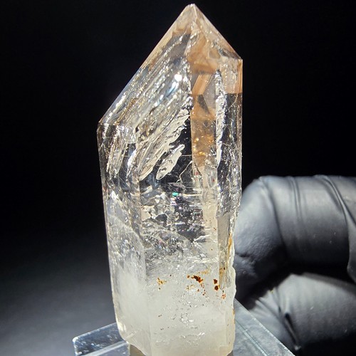 Point fenêtre sceptre - point, de
