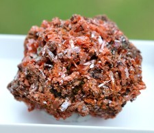 Crocoïte 65 grammes - Dundas mineral field, Zeehan District, Tasmanie Australie