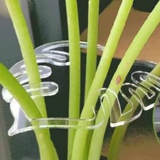 Supports Plantes Intérieur