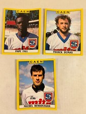 sympa lot de carte 1989 - 89 France / caen stickers ( panini ) 1