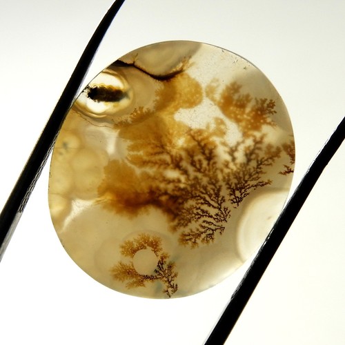 Pierre précieuse cabochon
