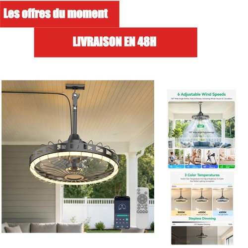 Ventilateur plafond 52cm - ventilateur,