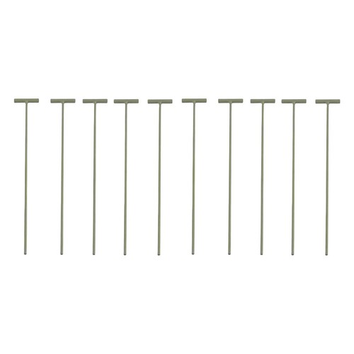 10pcs pigeon oiseaux entrée - oiseaux,