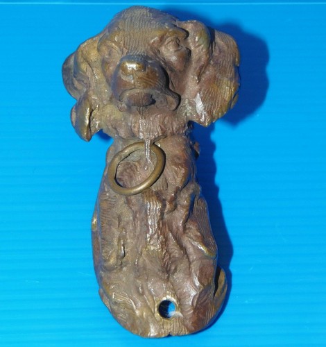 Tete chien chasse en - de,
