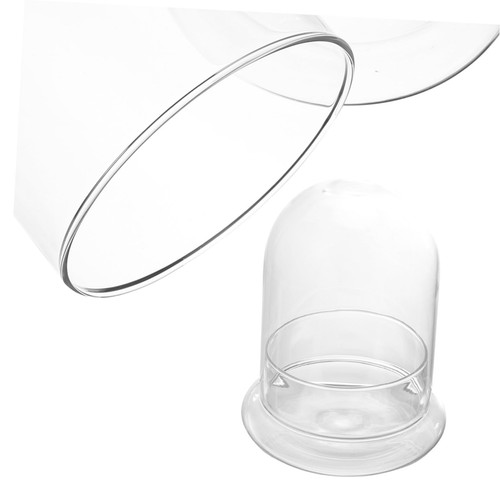 Verre terrarium récipient - verre,