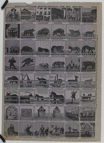 Exposicion zoologica mr - de,