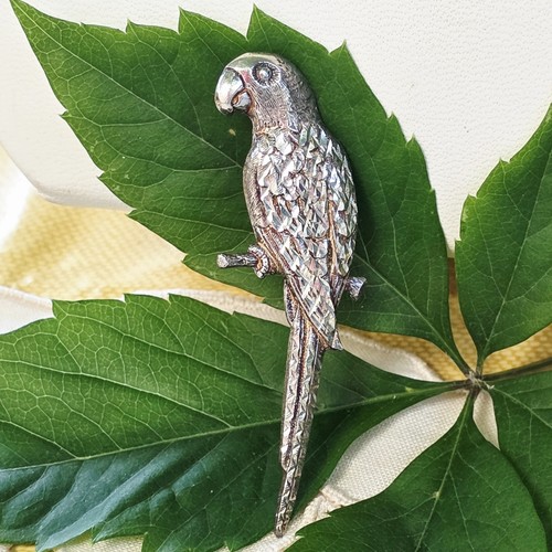 Broche perroquet argent - broche,