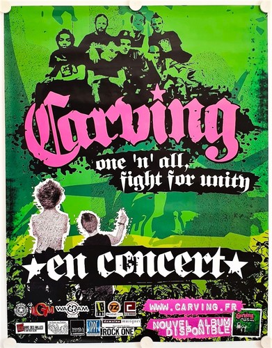Affiche concert groupe punk - concert,