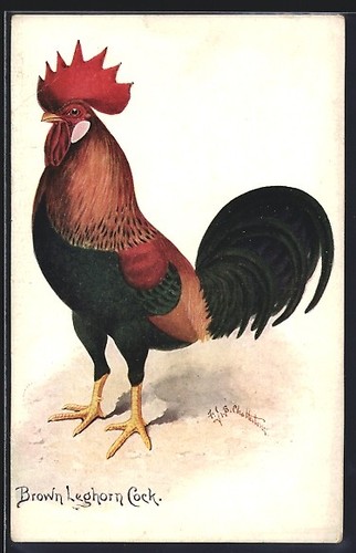 Carte postale artiste - carte,