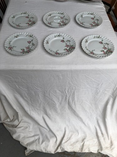 Assiettes plates - ,