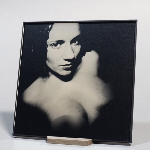 Original nude ambrotype - original,
