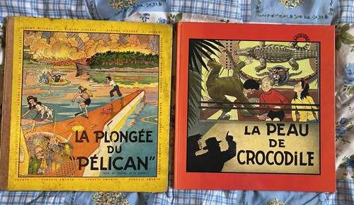 Plongée pélican la - du,