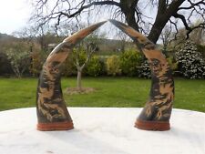 Paire de cornes de buffle d’eau sculptées XXème