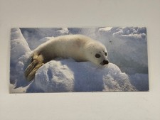Nestlé MERVEILLES DU MONDE Carte N°290 "le petit phoque"