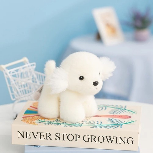 Bichon dog standing inch - bichon,