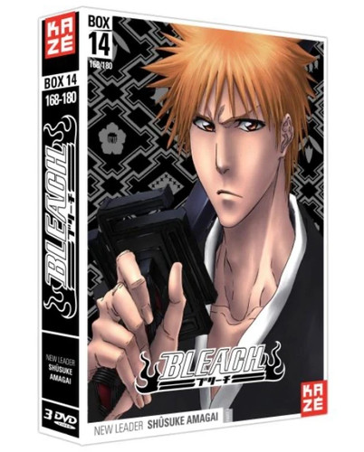 Kaze dvd bleach box - bleach, new