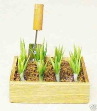 Maison de Poupées Légumes