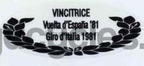 Pinarello detail - pinarello,