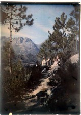 Autochrome verre 13 x 18 /première photo couleur Famille dans la pinède Ca 1910 