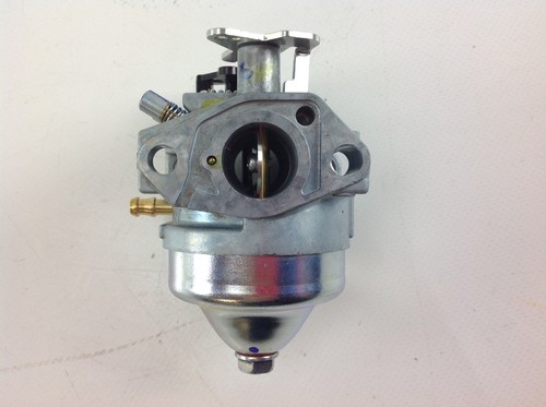 Carburateur motoculteur moteur - carburateur,