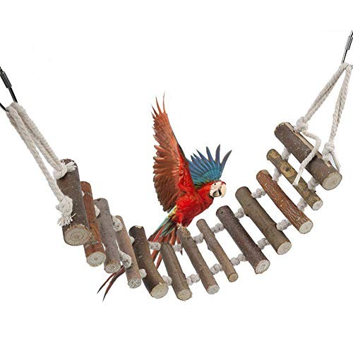 échelle perchoir bois oiseaux - Échelle,