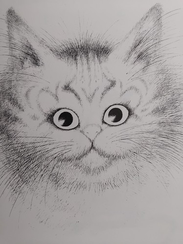Les chats dubout 1988 - dubout,