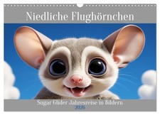 Mignons écureuils volants -