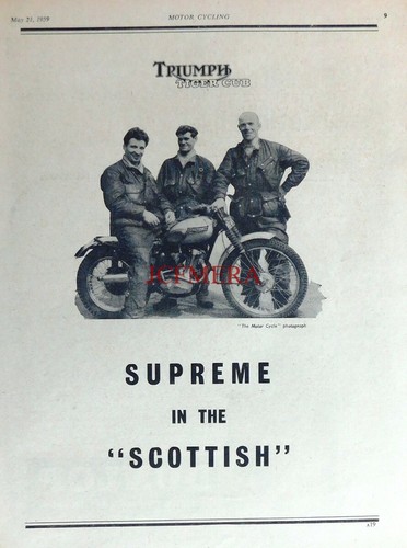 Triumph tiger cub - triumph, 'tiger