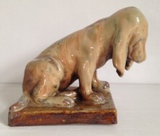 Beau Chien Rambervillers Unis