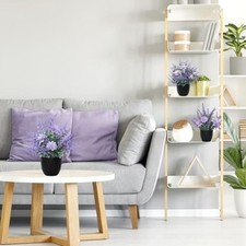 Fausse Plantes Plantes