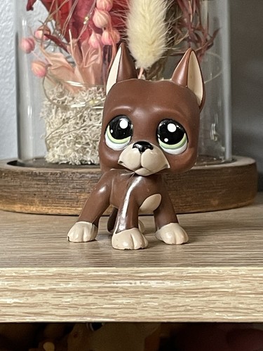 Petshop chien danois - chien, dogue
