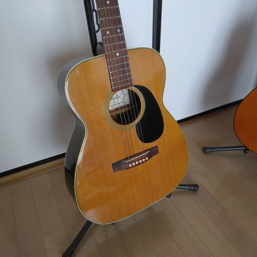 Pro martin 220 - f-220, acoustic