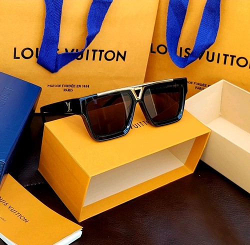 Louis vuitton evidence - louis,