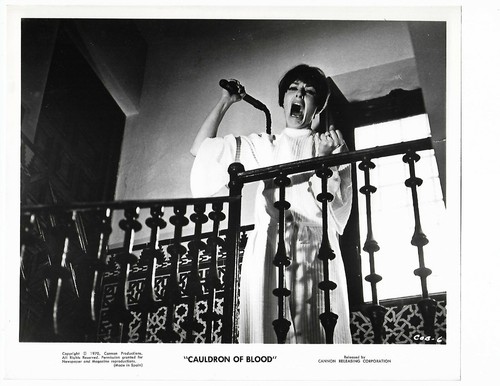 Vintage 8x10 photo - , viveca