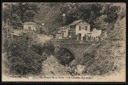 Cpa blida gorges la - gorges,