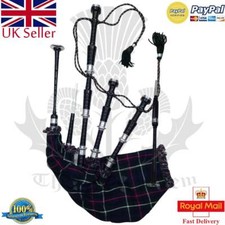 Écossais Highland Grande