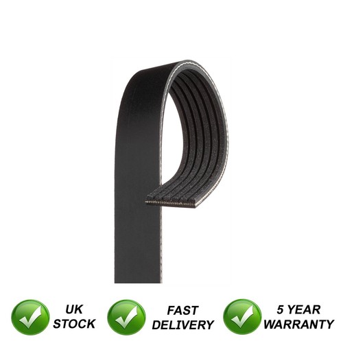 Drive belt sjr - sjr, fits