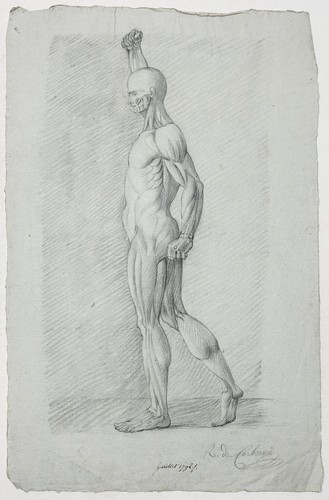 Mann debout nude - mann,