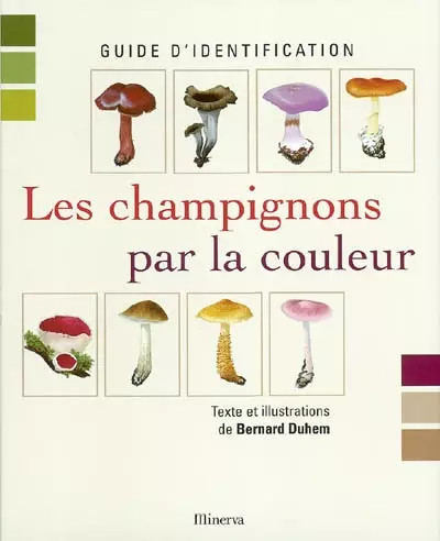 Les champignons par couleur - les,