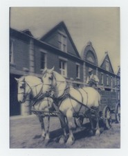 Équipe De Chevaux De Trait