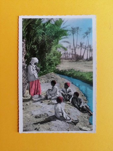 Cpsm africa scene and type - cpsm,